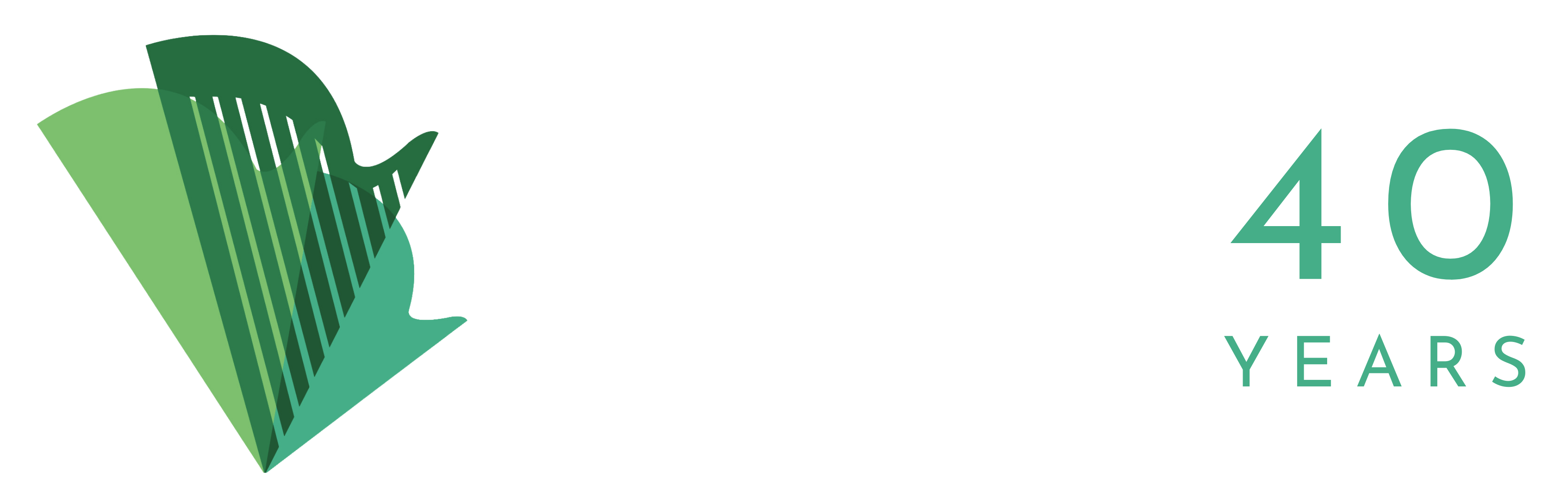 logo irish american partnership