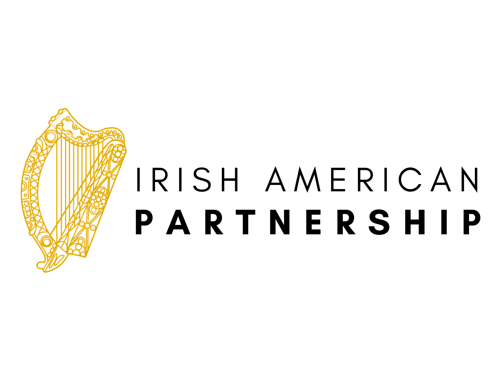 Donate Irish American Partnership