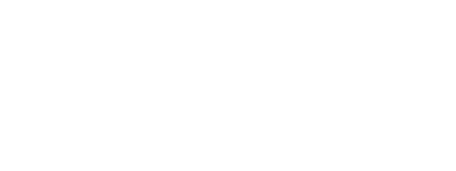 logo irish american partnership