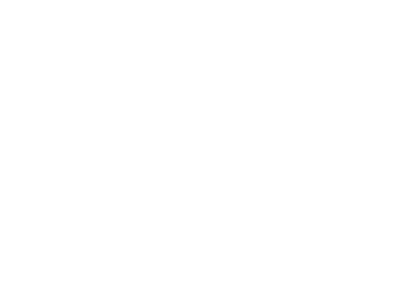 logo irish american partnership