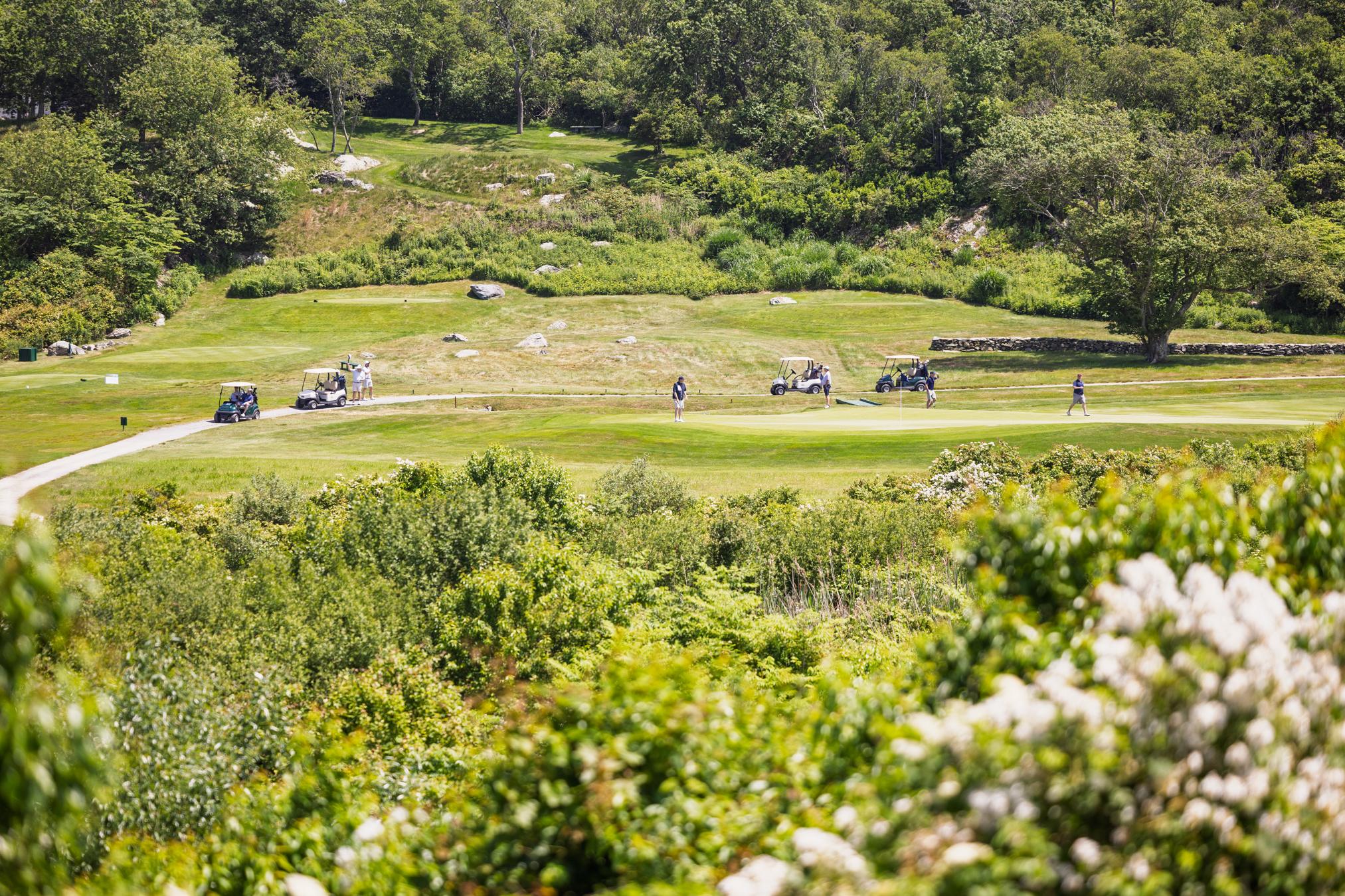 IAP_golf_214